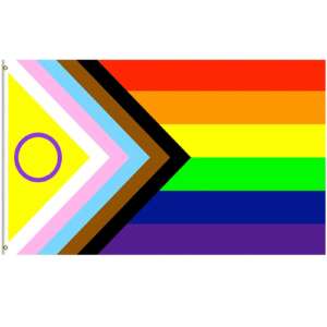 Progessive Pride Flagge - 90 x 150 cm